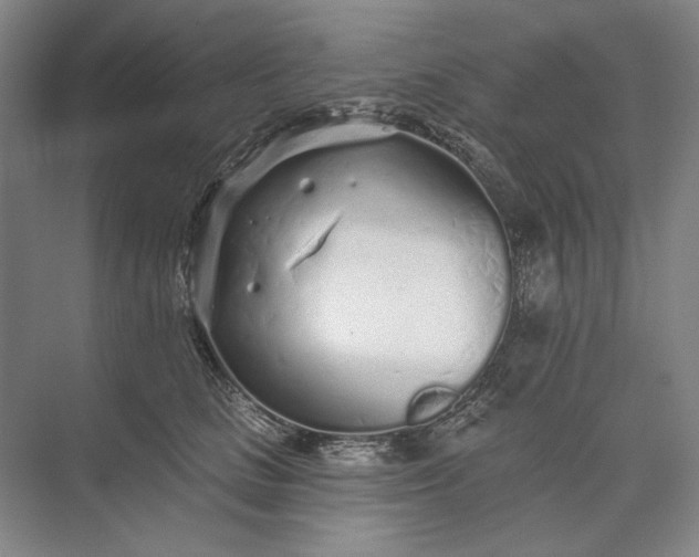 X0000073520661200608141001