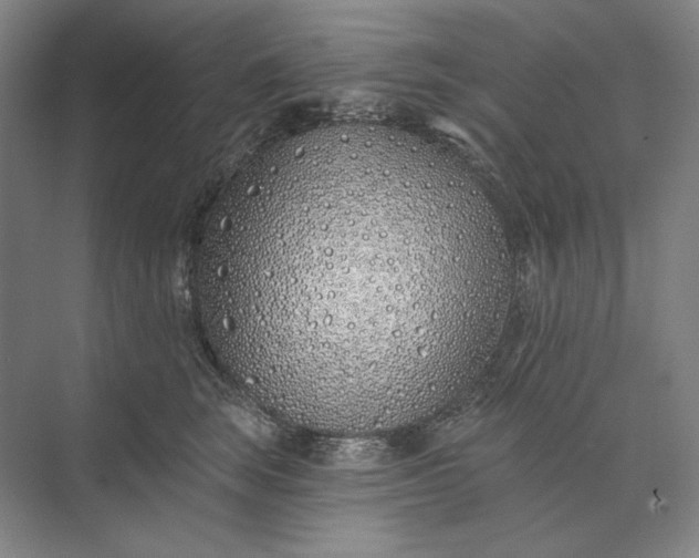 X0000073520663200608141001