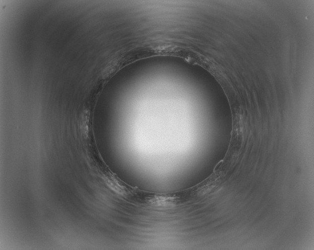 X0000073520664200608141001