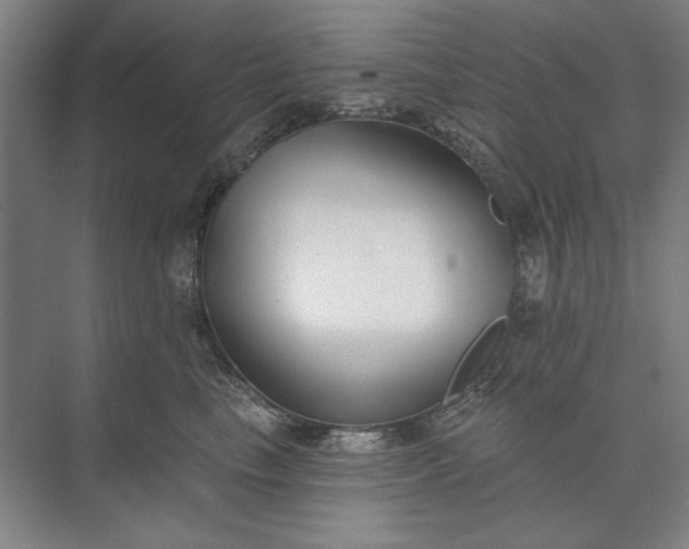 X0000073520665200608141001