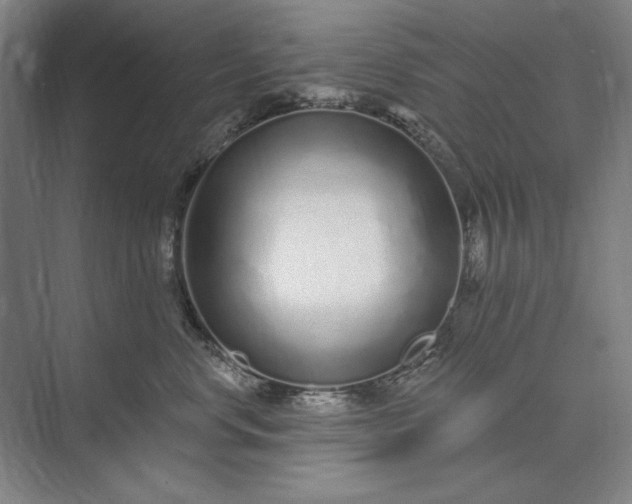 X0000073520668200608141001