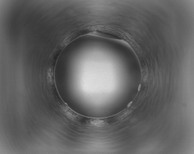 X0000073520669200608141001