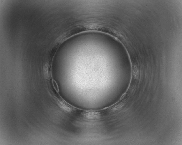 X0000073520670200608141002