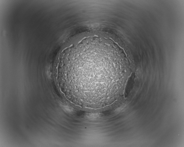 X0000073520671200608141002