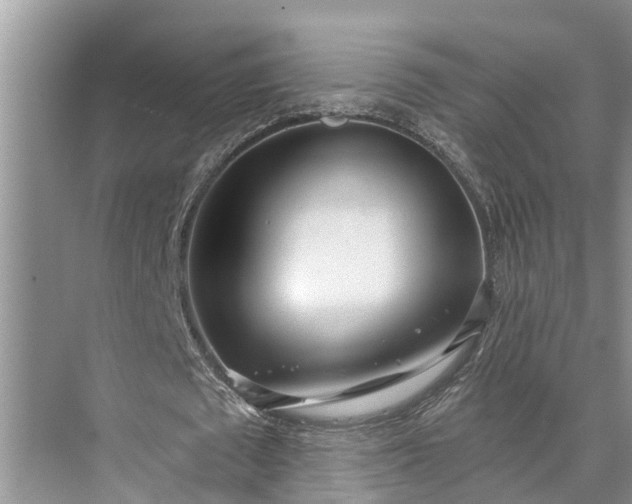 X0000073520673200608141001