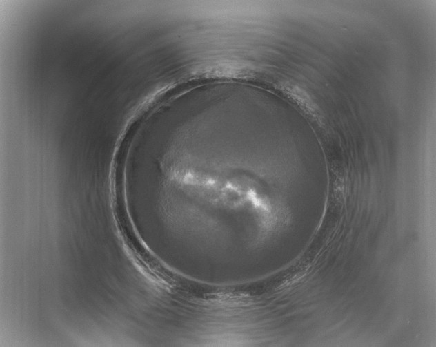 X0000073520678200608141001