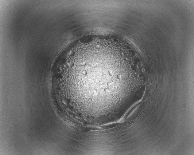 X0000073520679200608141001