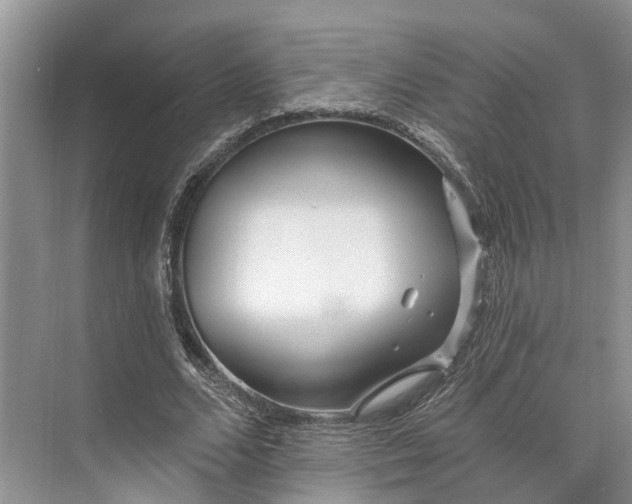 X0000073520680200608141001