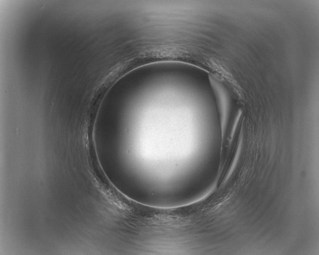 X0000073520681200608141001