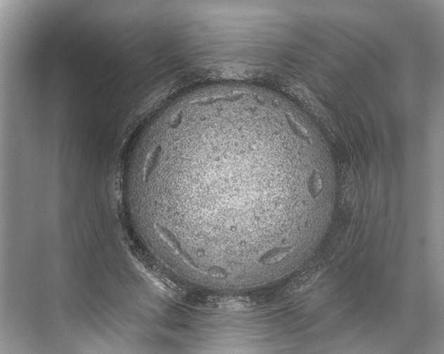 X0000073520683200608141001