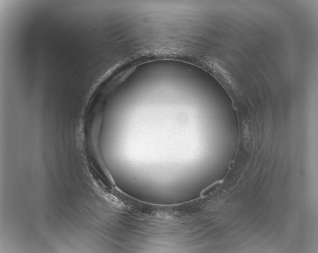 X0000073520684200608141001