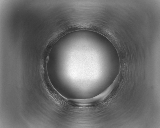 X0000073520688200608141000