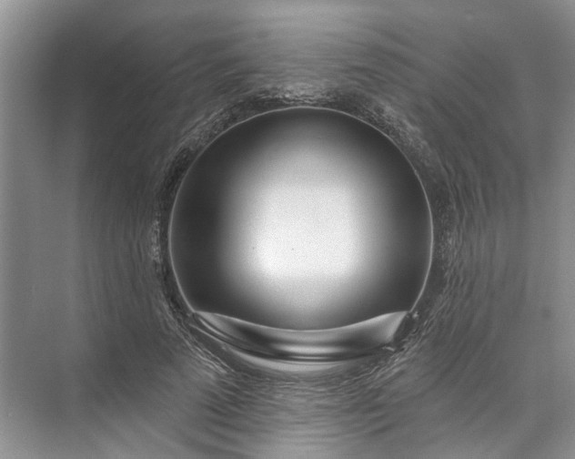 X0000073520689200608141000