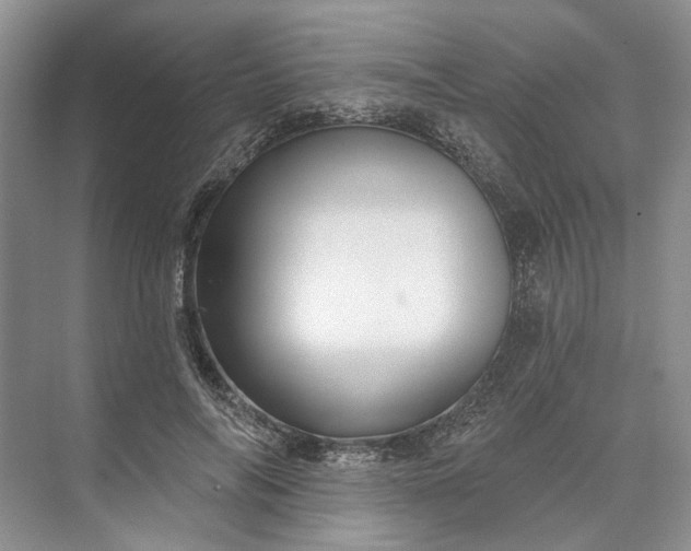 X0000073520694200608141000