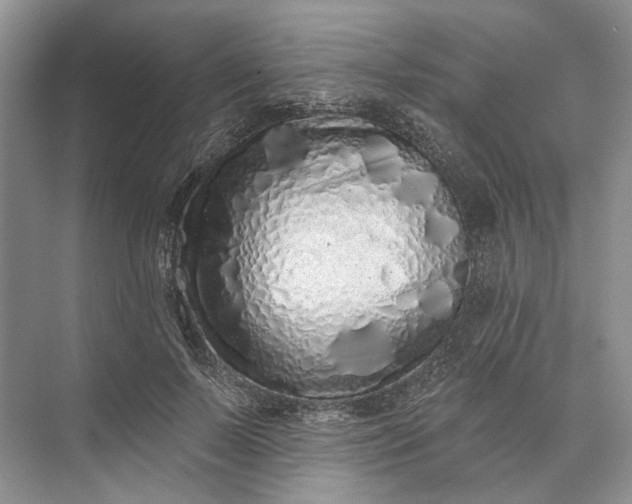 X0000073520695200608141000