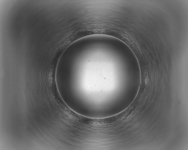 X0000073520697200608141000