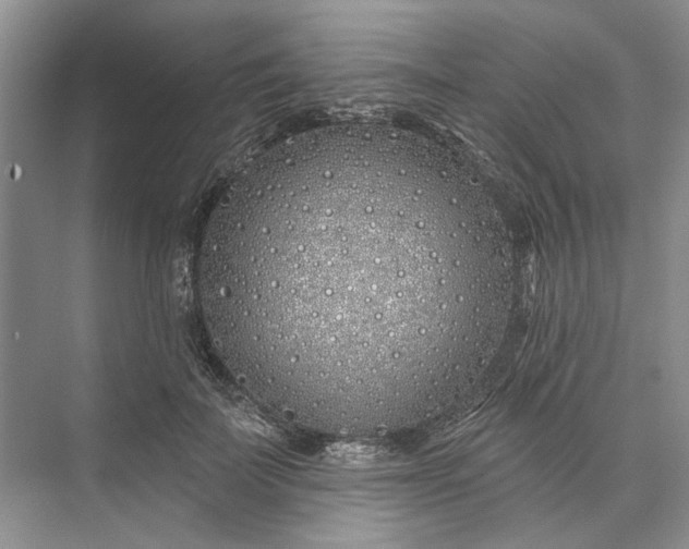 X0000073520699200608141000