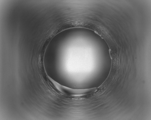 X0000073520700200608141000