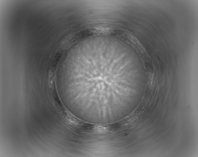 X0000073520701200608141000