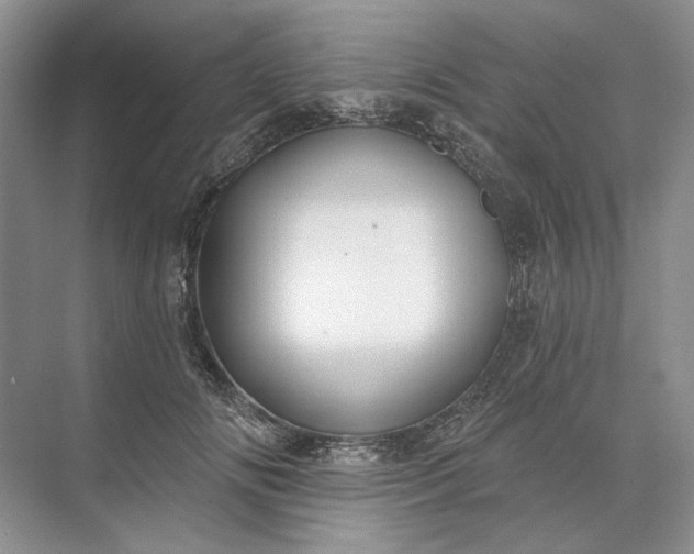 X0000073520702200608141000