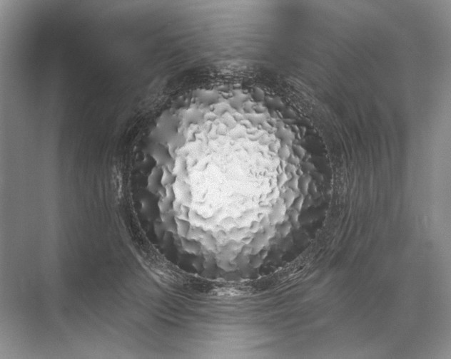 X0000073520703200608141000