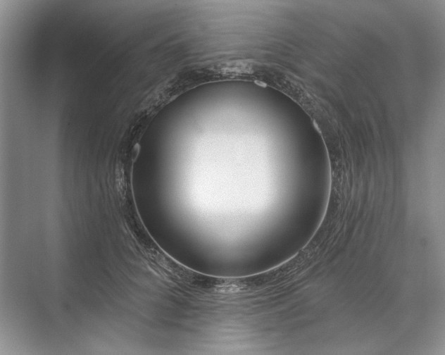 X0000073520704200608141000