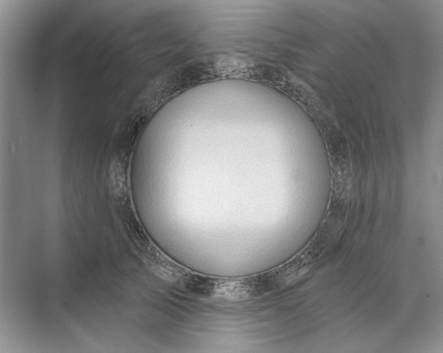 X0000073520705200608141000