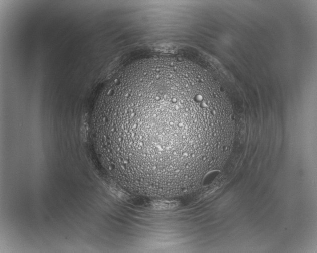 X0000073520707200608141000