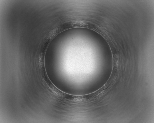 X0000073520708200608141000