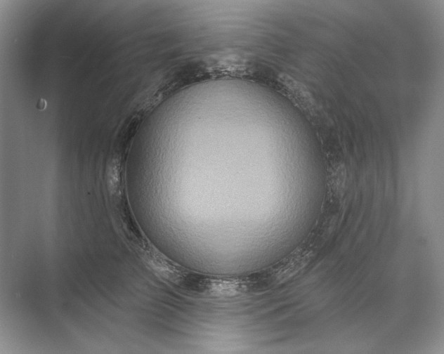 X0000073520709200608141000