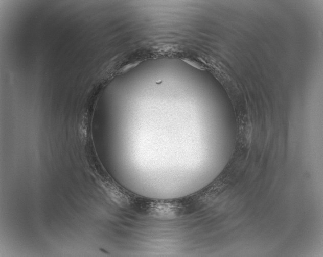 X0000073520710200608141000