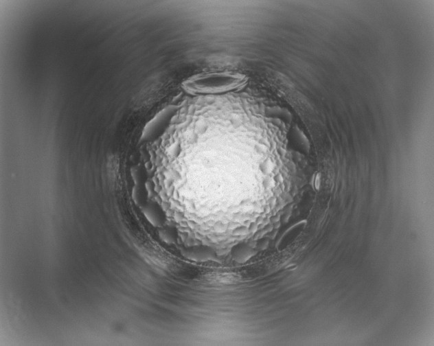 X0000073520711200608141000