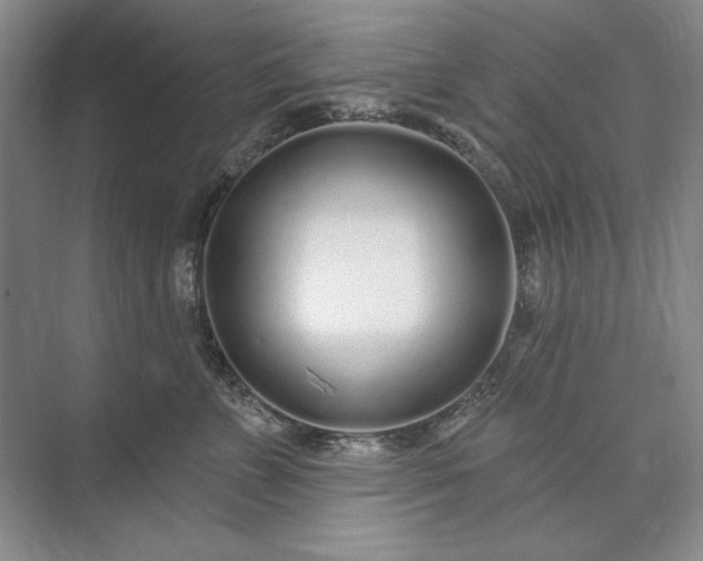 X0000073520715200608141000