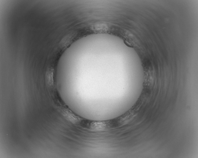 X0000073520717200608141000