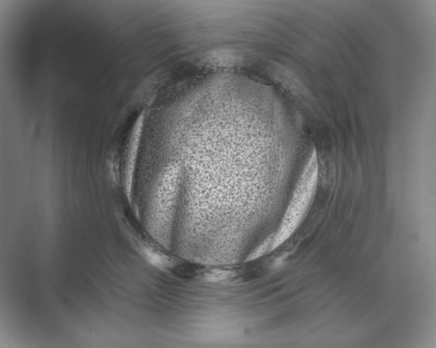 X0000073520718200608141000