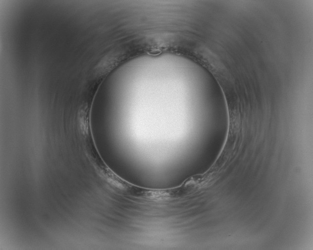 X0000073520719200608141000