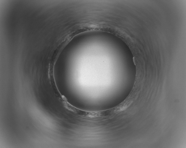 X0000073520720200608141000