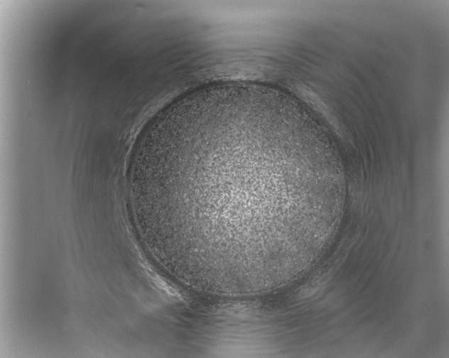 X0000073520721200608140959