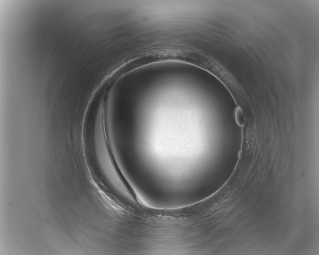 X0000073520722200608140959