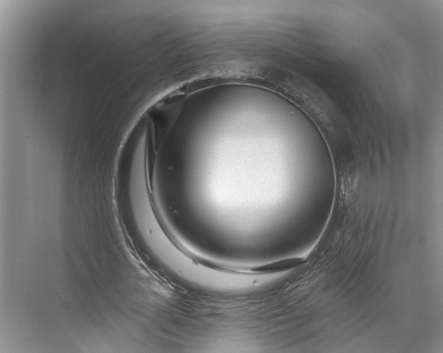 X0000073520724200608140959