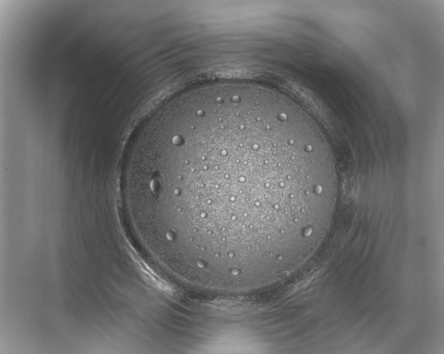 X0000073520725200608140959