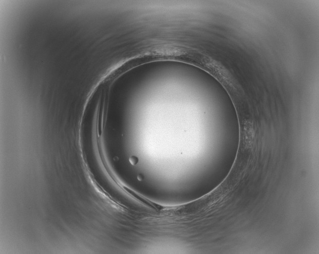 X0000073520726200608140959