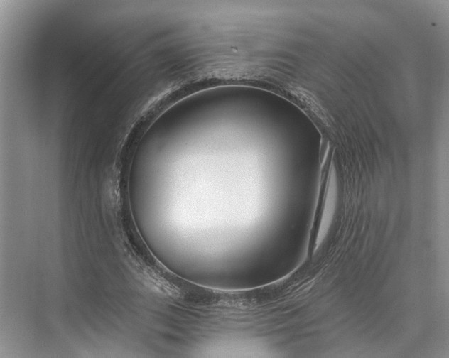 X0000073520727200608140959