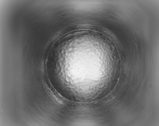 X0000073520729200608140959