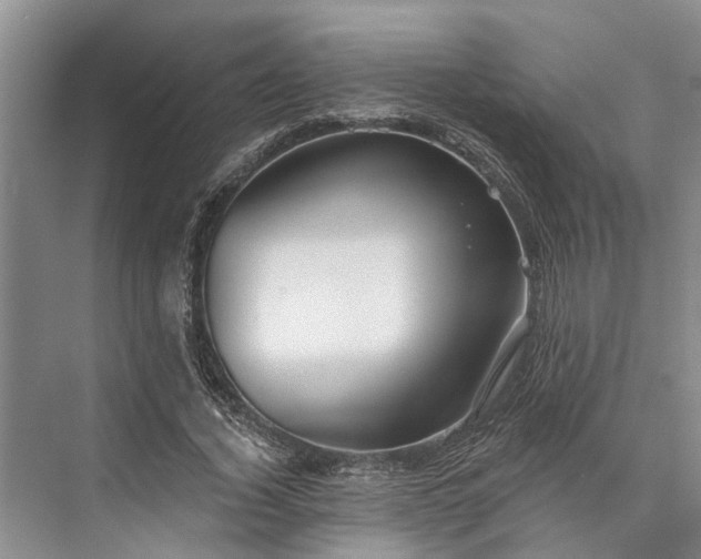 X0000073520732200608140959