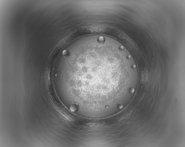 X0000073520733200608140959