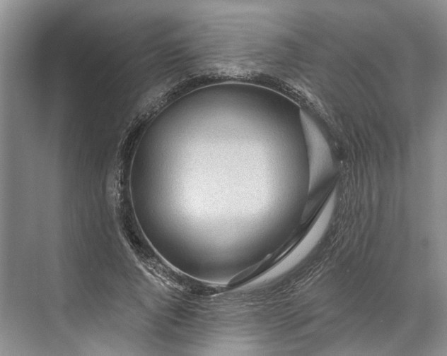 X0000073520736200608140959