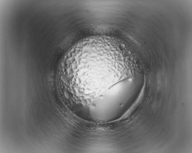 X0000073520737200608140959