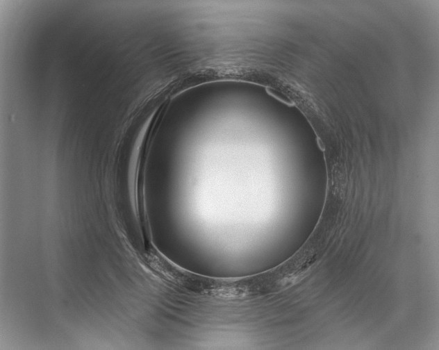 X0000073520740200608140959