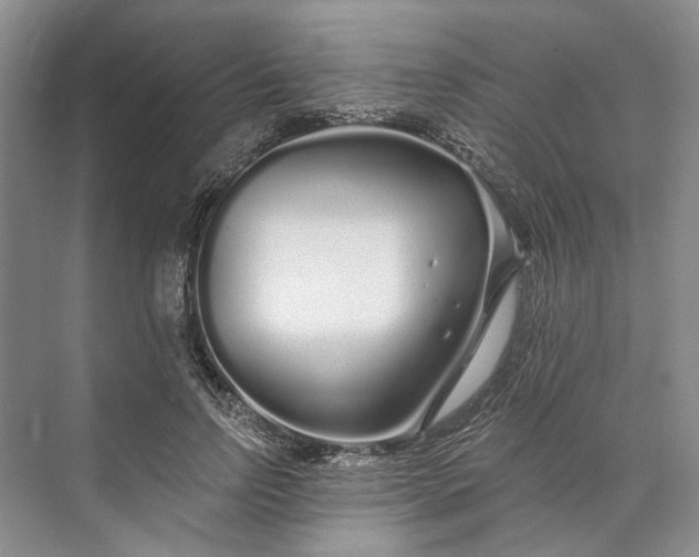 X0000073520742200608140959